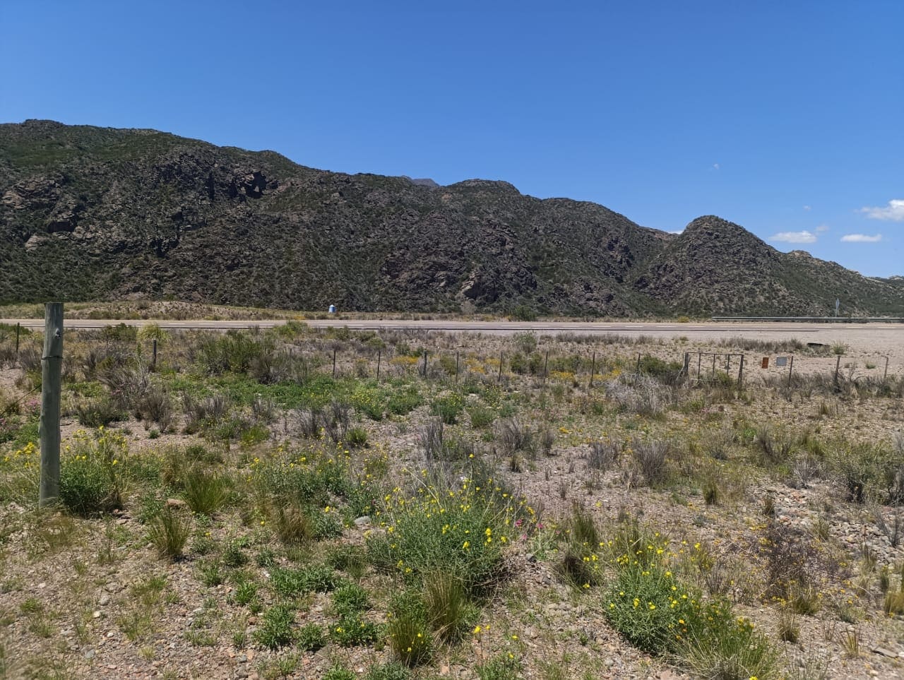 Lote, Ruta 7, Potrerillos, oportunidad, inmobiliaria, inversión